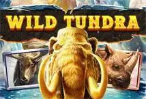 Wild Tundra cover image