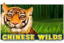 Chinese Wilds cover image
