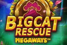 Big Cat Rescue Megaways cover image