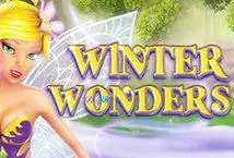 Winter Wonders cover image