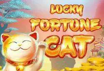 Lucky Fortune Cat cover image