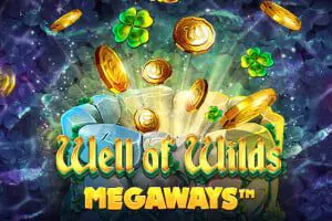 Well of Wilds Megaways cover image