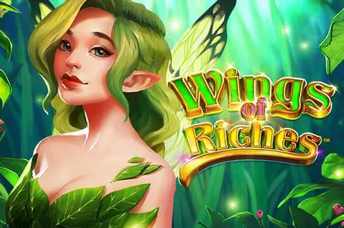 Wings of Riches cover image