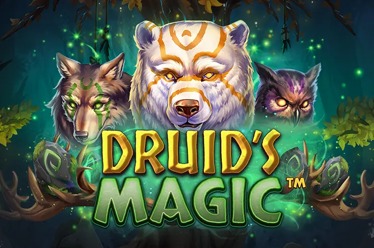 Druid's Magic cover image