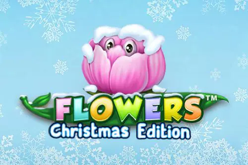 Flowers Christmas Edition cover image