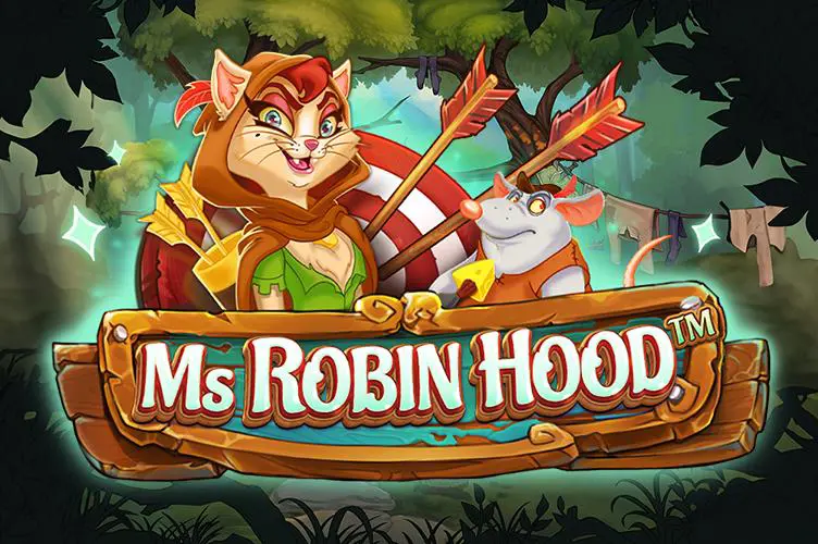 Ms Robin Hood cover image