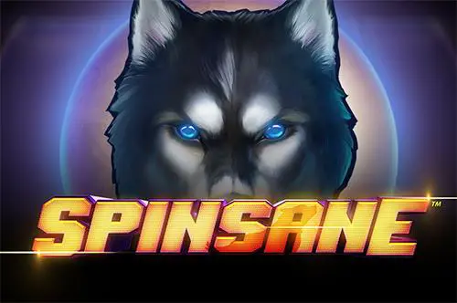 Spinsane cover image