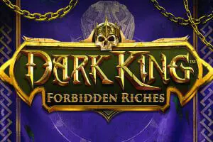 Dark King: Forbidden Riches cover image