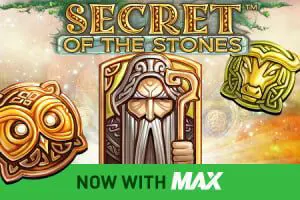 Secret of the Stones cover image