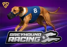8 Greyhound Racing cover image