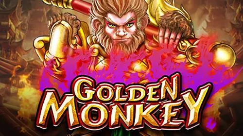Golden Monkey