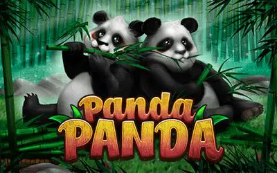 Panda Panda cover image