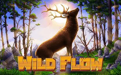 Wild Flow cover image