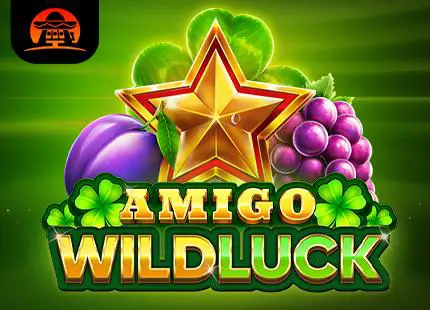 Amigo Wild Luck cover image